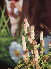 tam 14-150 sample 035