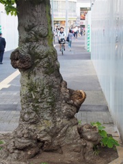 スナップ 3623