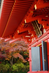 高幡不動2017秋 19