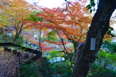スナップ 3643