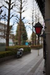 スナップ 1420