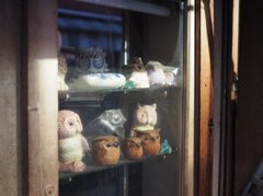 中野 2014-12 スナップ 0028