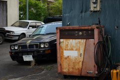 スナップ 1995