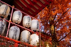 高幡不動2017秋 8