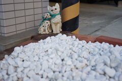 スナップ 2957