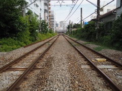 スナップ　393