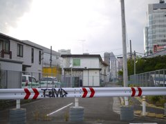 pana leica 25mm F1.4 sample 023