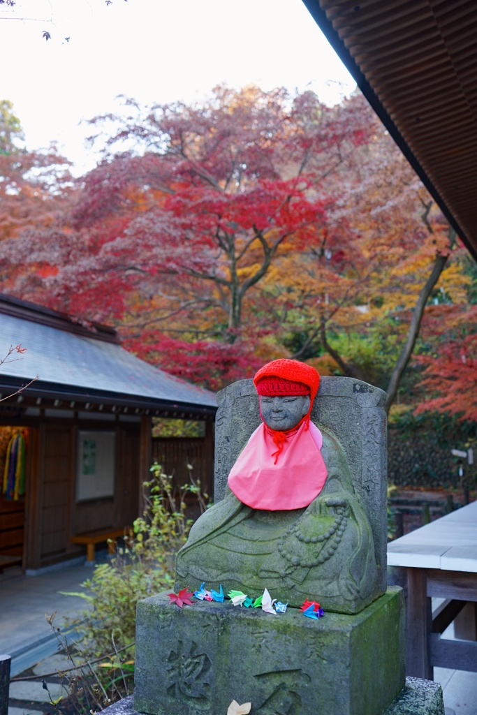 高幡不動2017秋 16