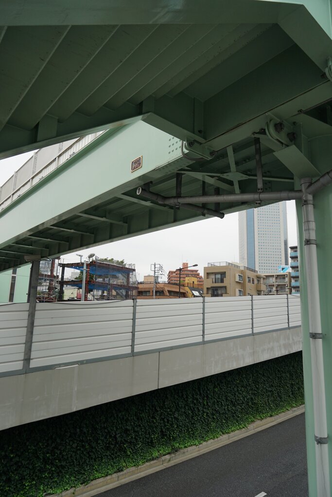 スナップ 2798