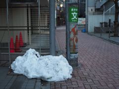 スナップ 991