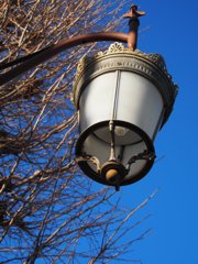 tam 14-150 sample 183