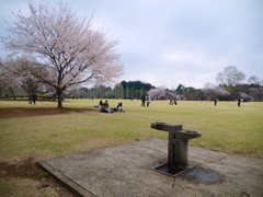 pana  12-35mm F2.8 sample 002