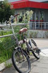 スナップ 1968