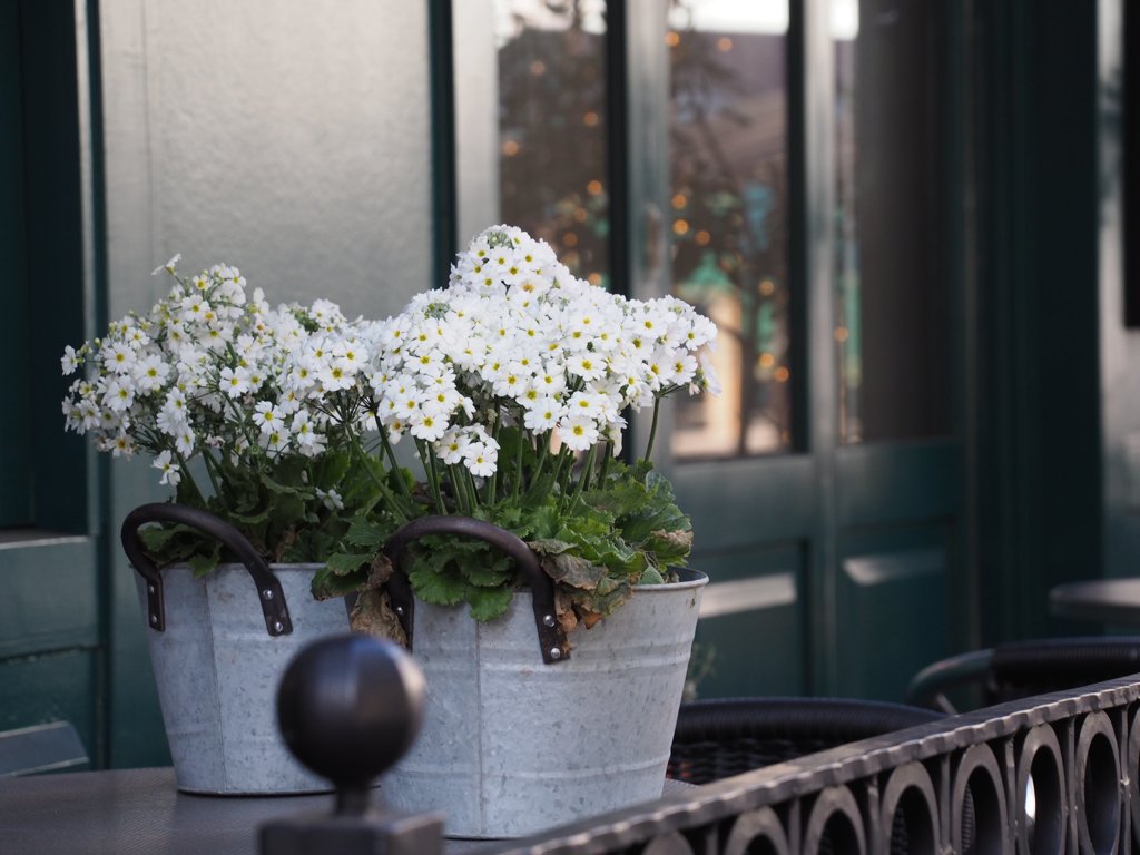 tam 14-150 sample 003