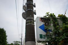 スナップ 2146