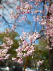 pana  12-35mm F2.8 sample 005