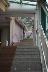 スナップ 2812
