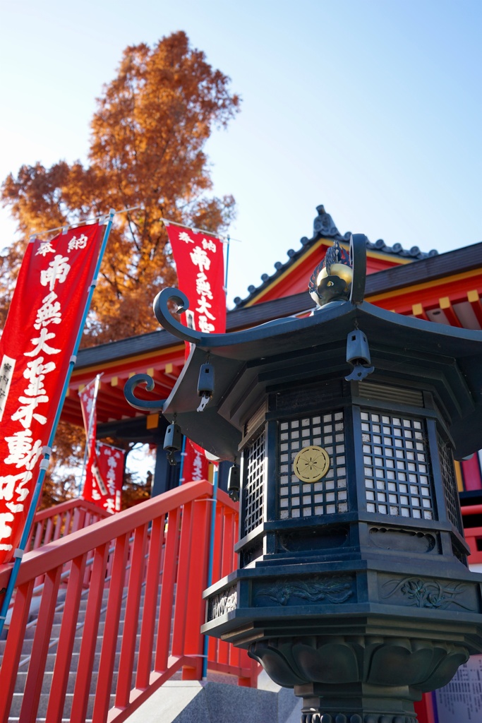 高幡不動2017秋 5