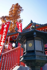 高幡不動2017秋 5