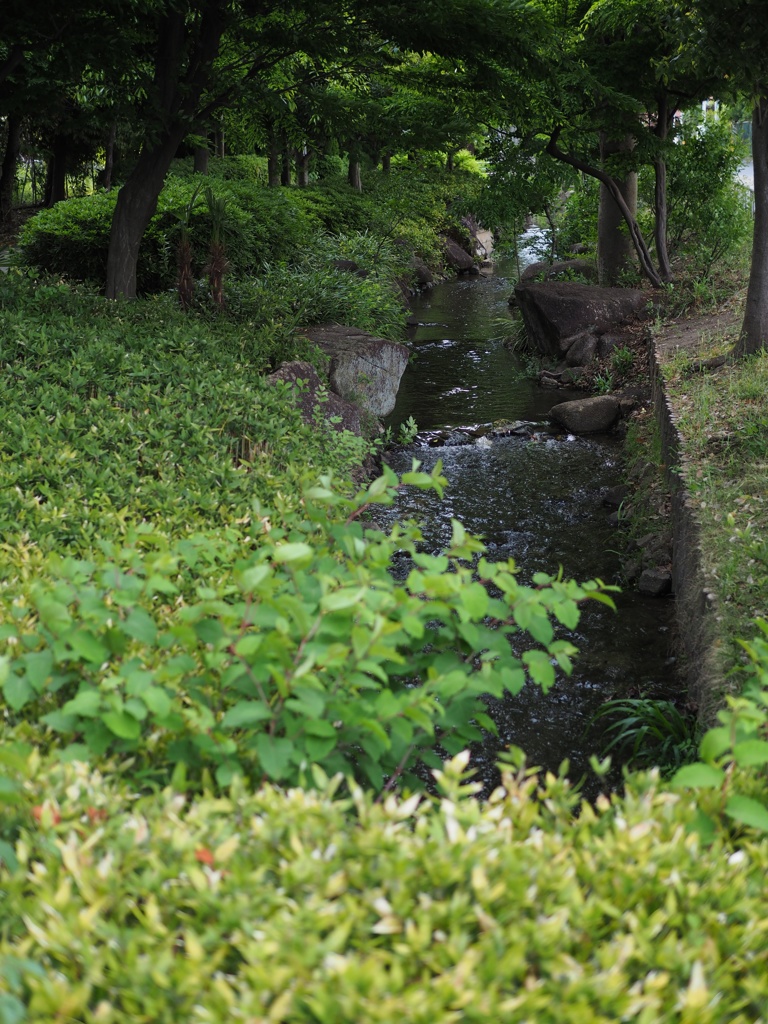 スナップ　267