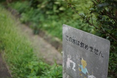 スナップ 3602