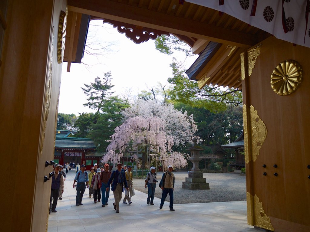 pana  12-35mm F2.8 sample 006