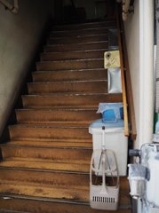 中野 2014-12 スナップ 0034