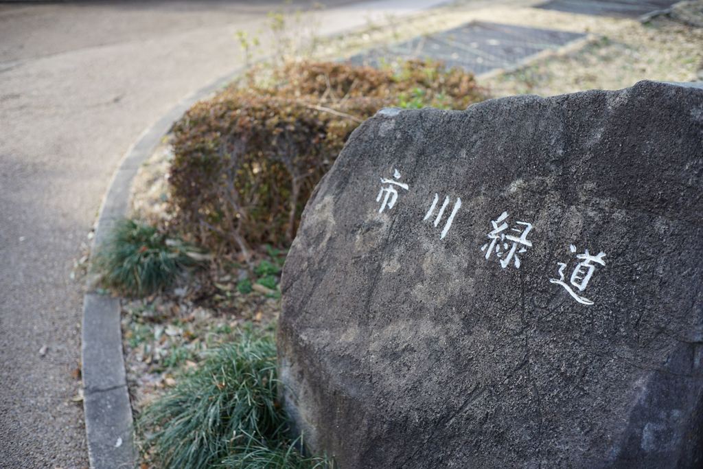スナップ 1475