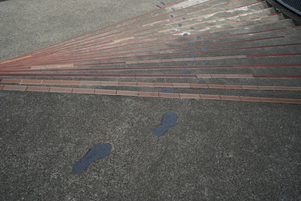 スナップ 3456