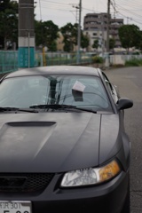 スナップ 3598