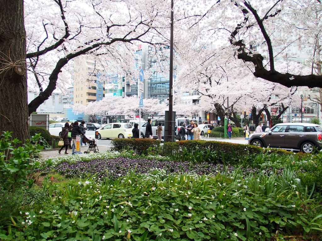 スナップ 1855