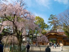 pana  12-35mm F2.8 sample 007