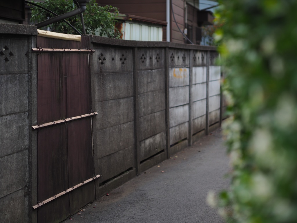 スナップ　276