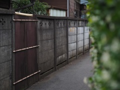 スナップ　276