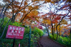 スナップ 3656