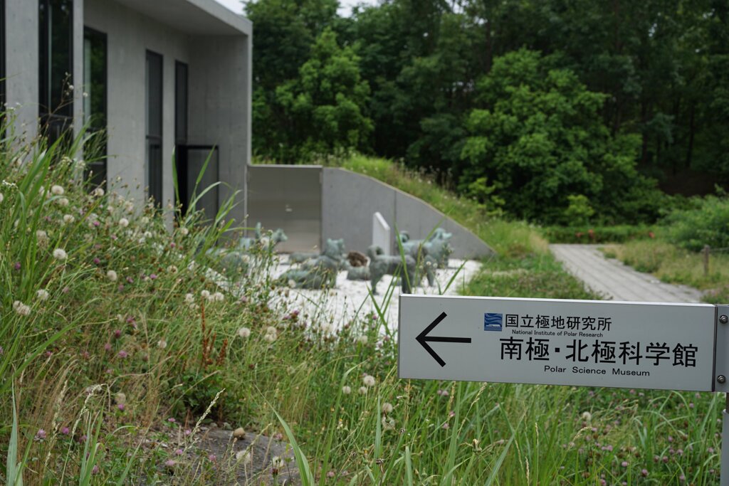 スナップ 2685