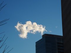 スナップ　34