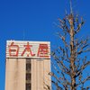 スナップ 48