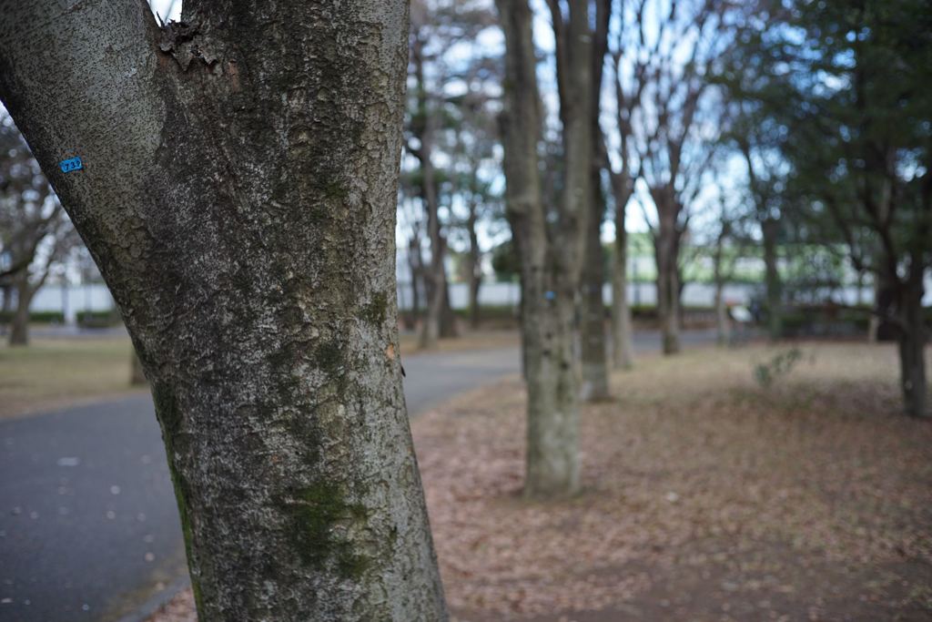 スナップ 1364　F2.8程度