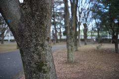 スナップ 1364　F2.8程度