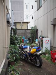 スナップ 667