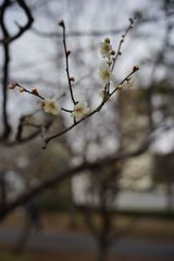 スナップ 1369  f2.8程度