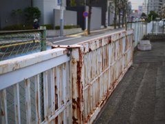 pana leica 25mm F1.4 sample 017