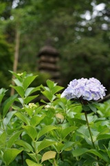 高幡不動尊金剛寺　28