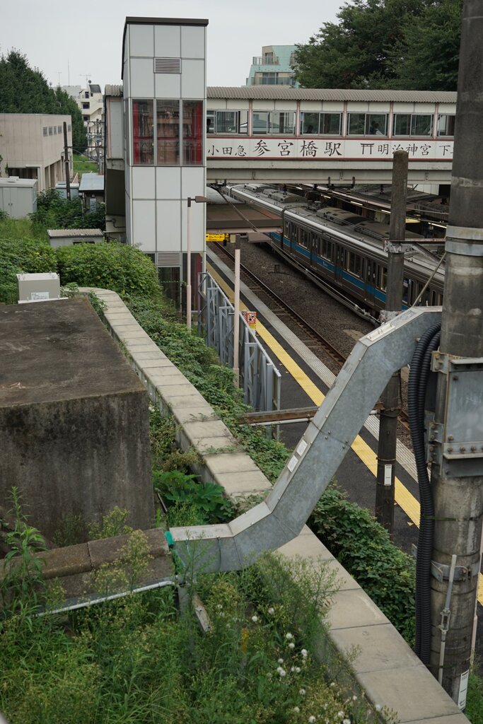 スナップ 2807
