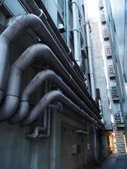 スナップ 41