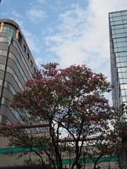 スナップ 197