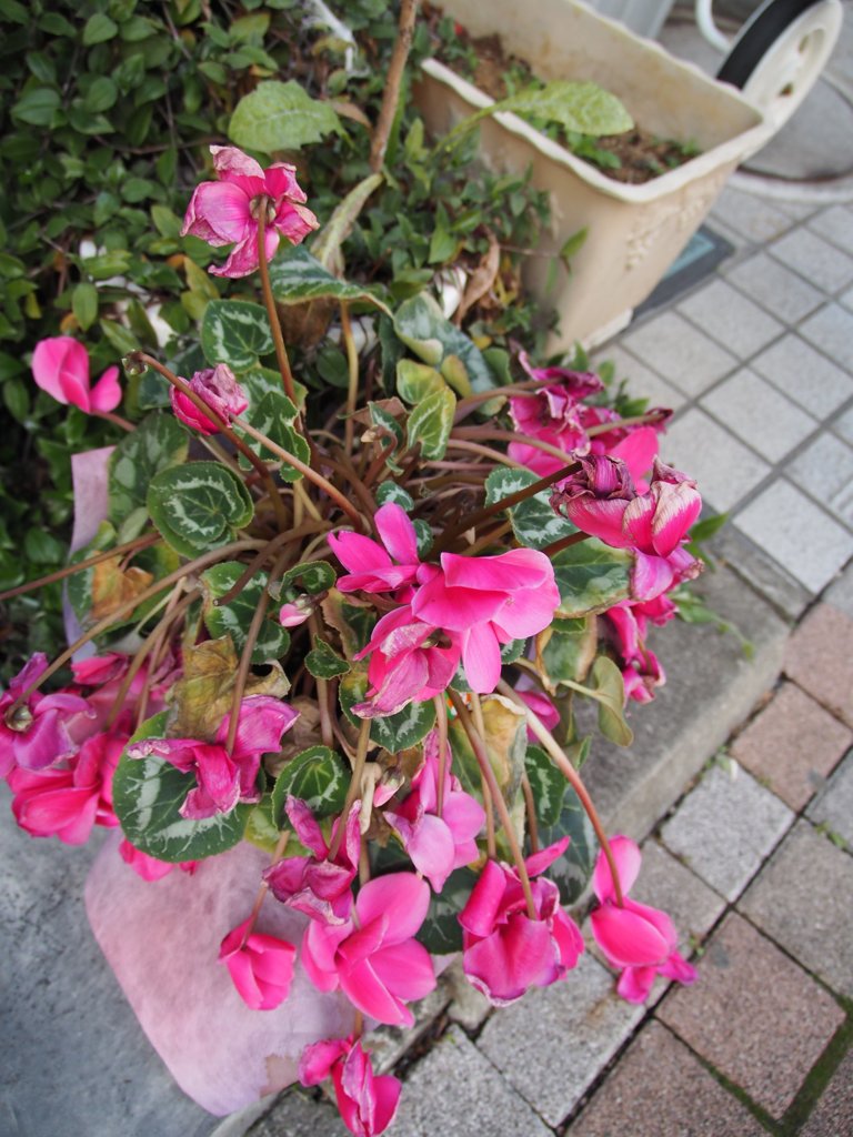 tam 14-150 sample 013