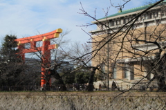 桜の季節にもう一度・・・