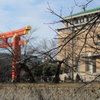 桜の季節にもう一度・・・